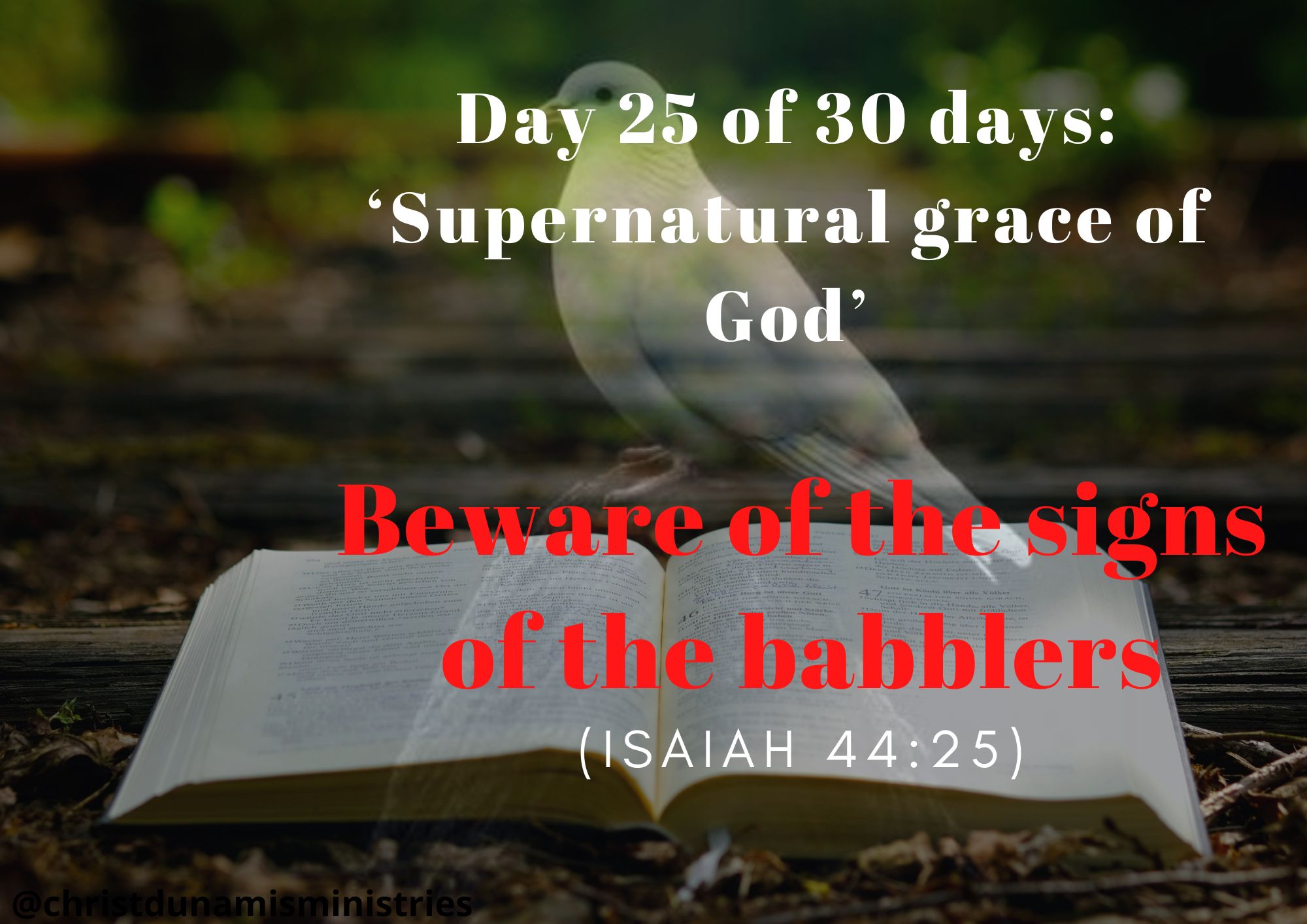 Day 25 of 30 days: ‘The signs of God’ – Beware of the signs of the babblers
