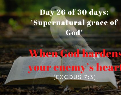 When God hardens your enemy’s heart