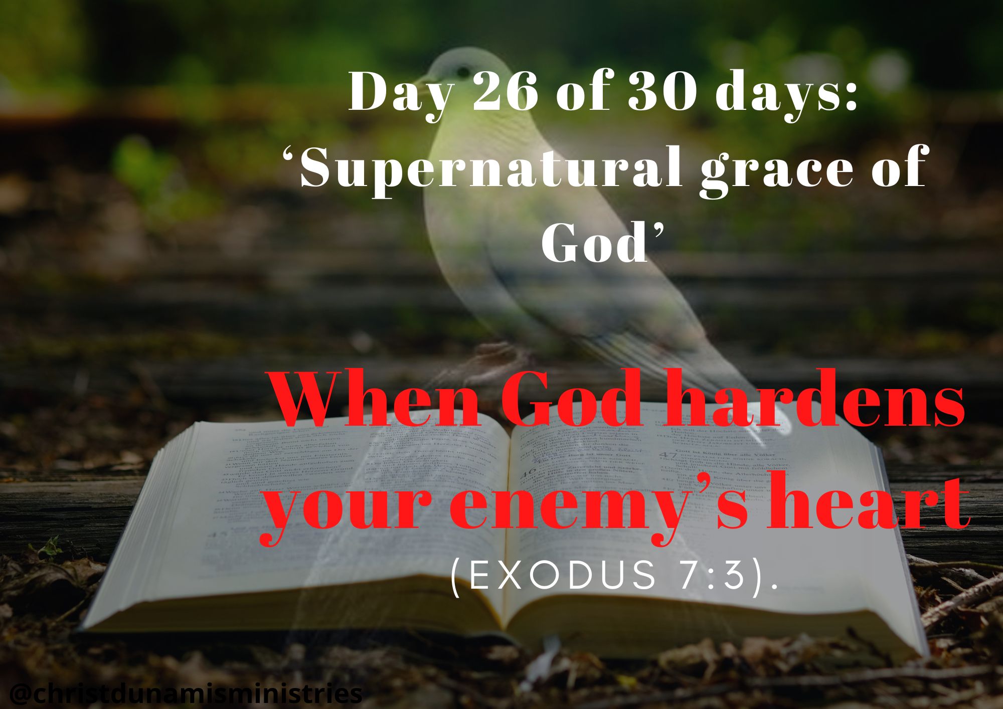 When God hardens your enemy’s heart