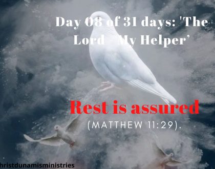 Rest is assured
