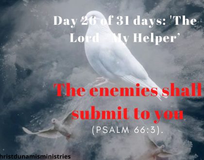 The enemies shall submit to you