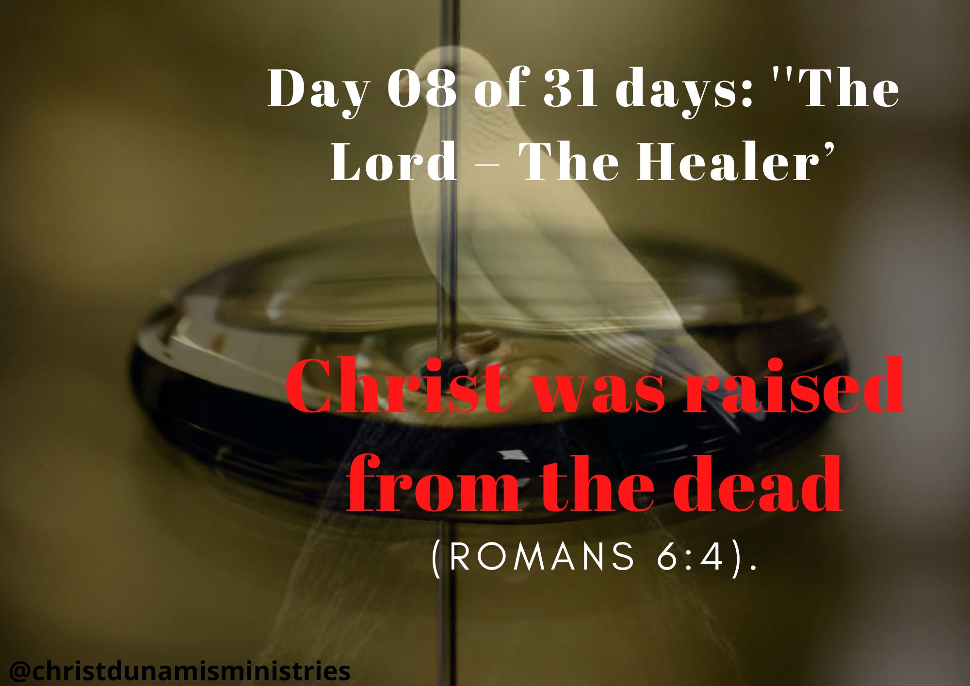 Christ was raised from the dead