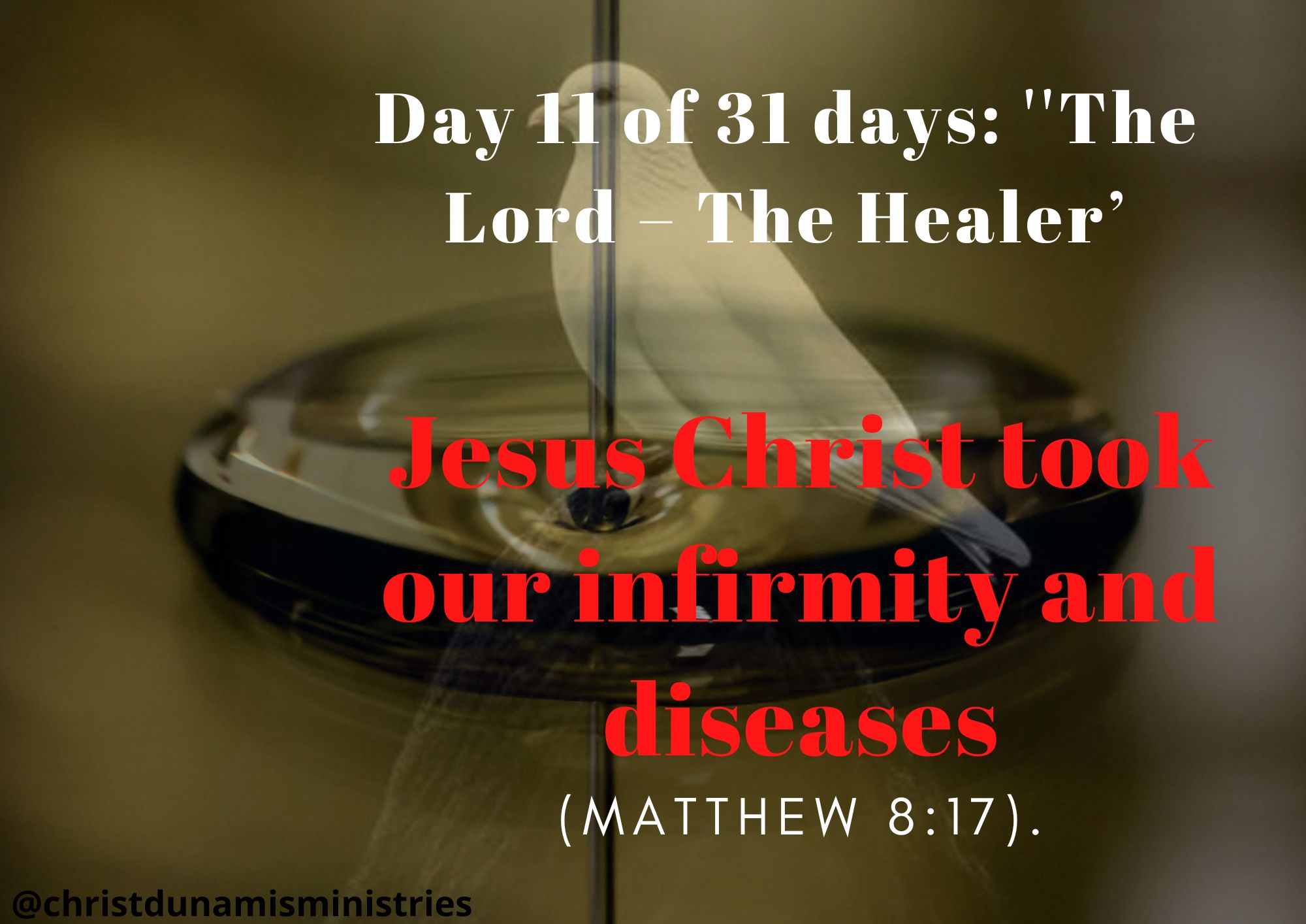 Jesus Christ took our infirmity and diseases