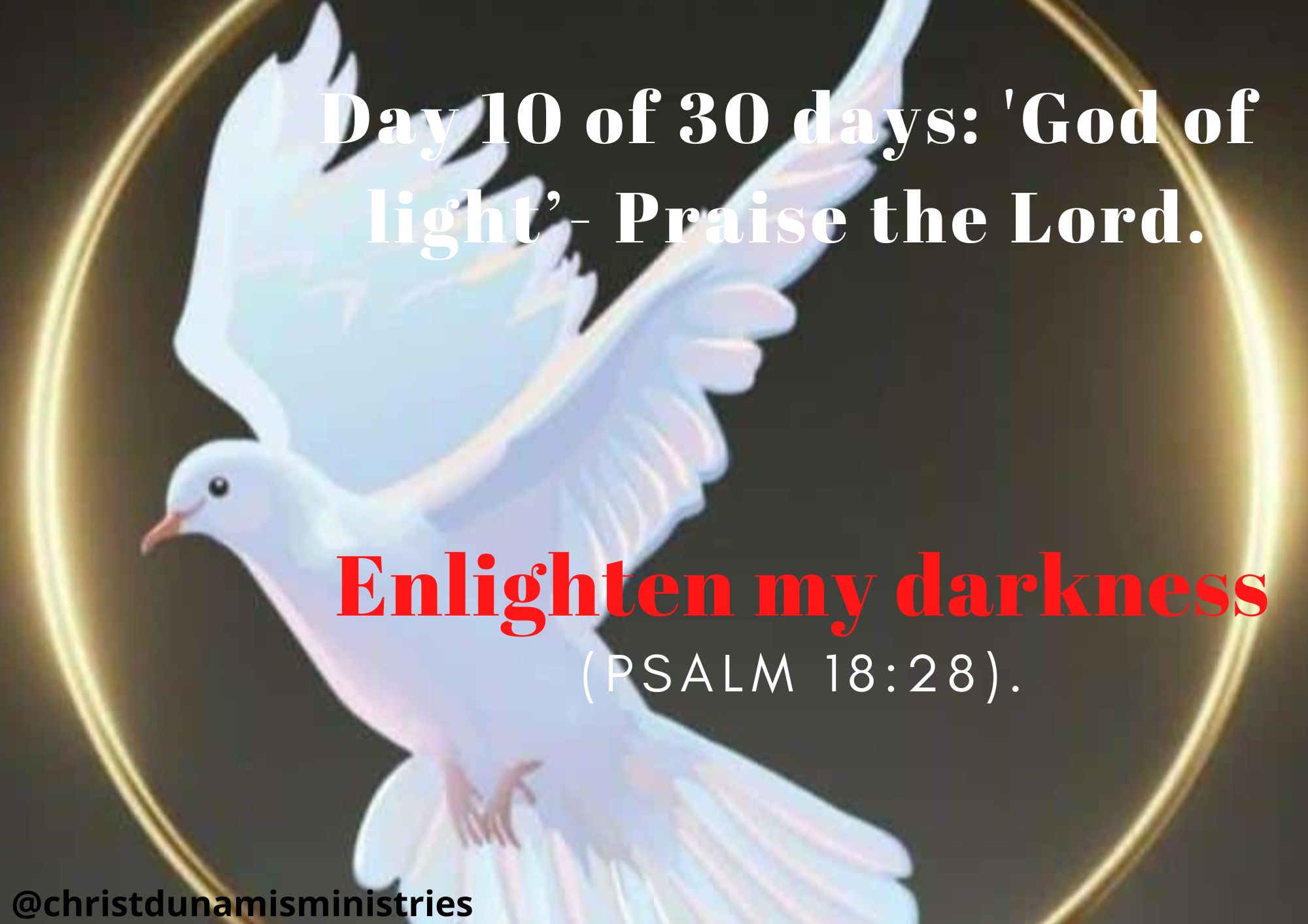 Enlighten my darkness