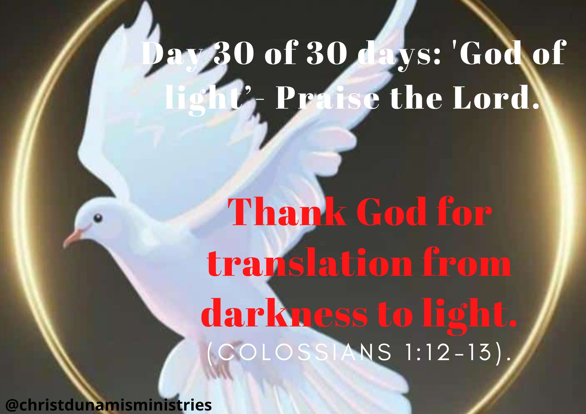 Thank God for translation from darkness to light.
