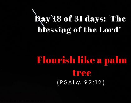 Day 18 of 31 days: 'The blessing of the Lord’ – Flourish like a palm tree