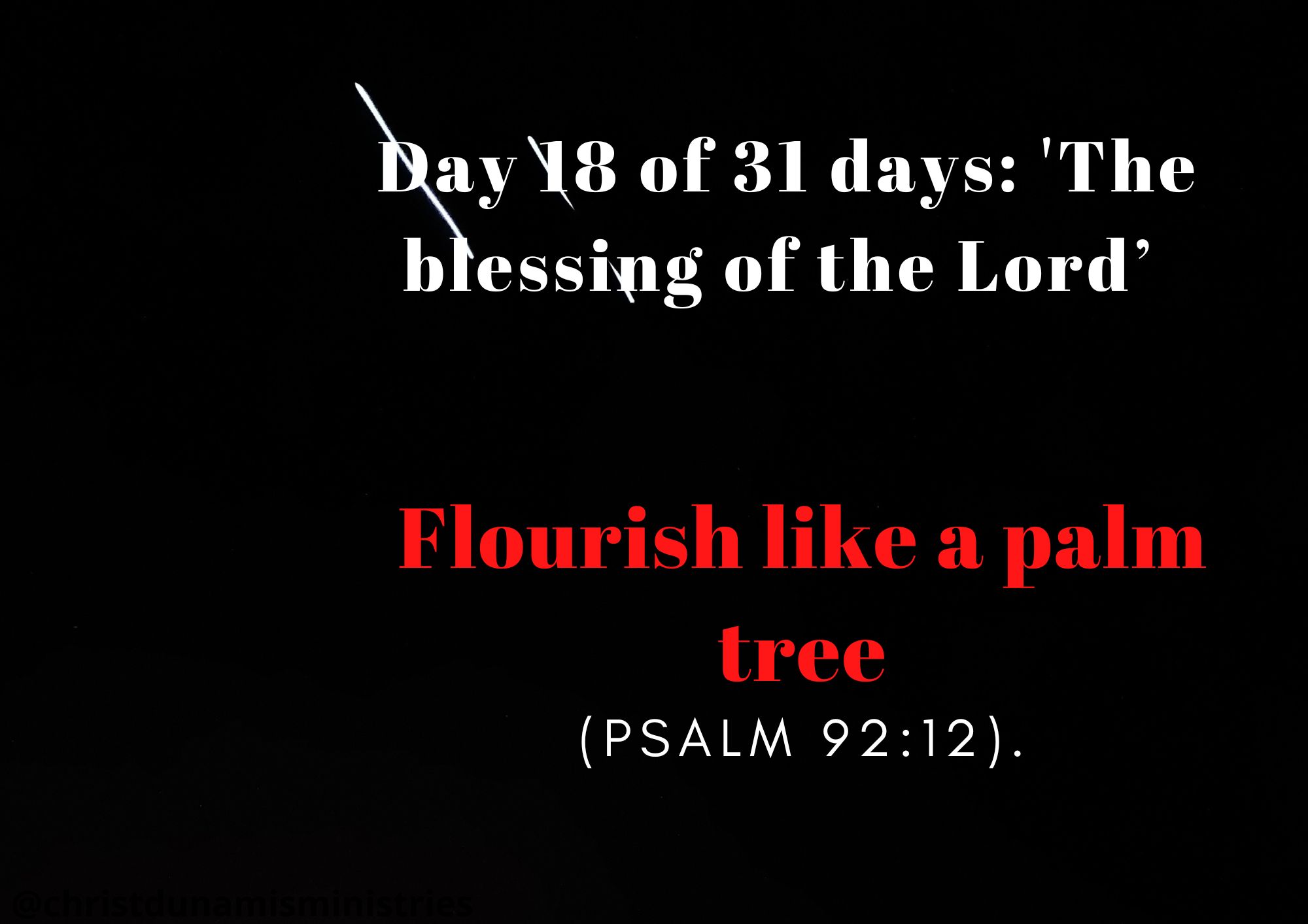 Day 18 of 31 days: 'The blessing of the Lord’ – Flourish like a palm tree
