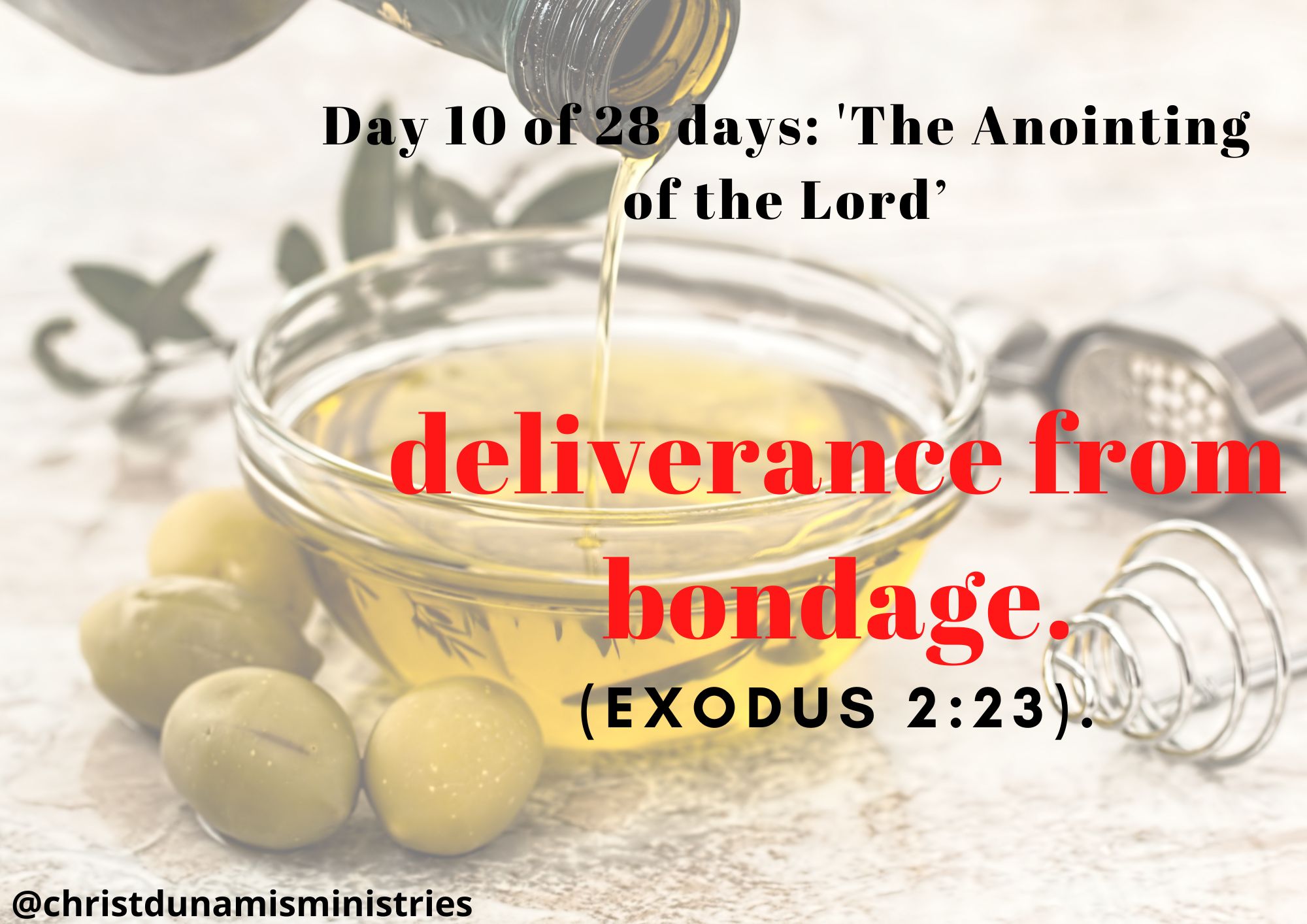 Day 10 of 28 days: 'The Anointing of the Lord’– deliverance from bondage