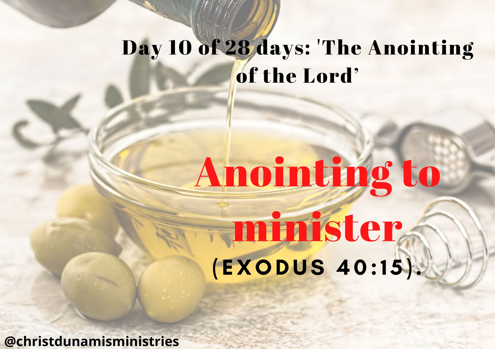 Day 11 of 28 days: 'The Anointing of the Lord’– Anointing to minister