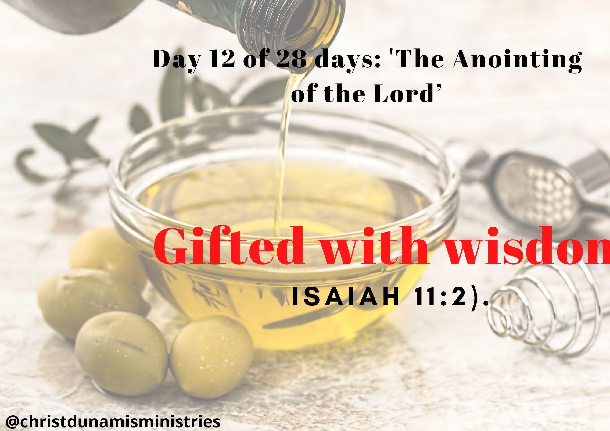 Day 12 of 28 days: 'The Anointing of the Lord’– Gifted with wisdom