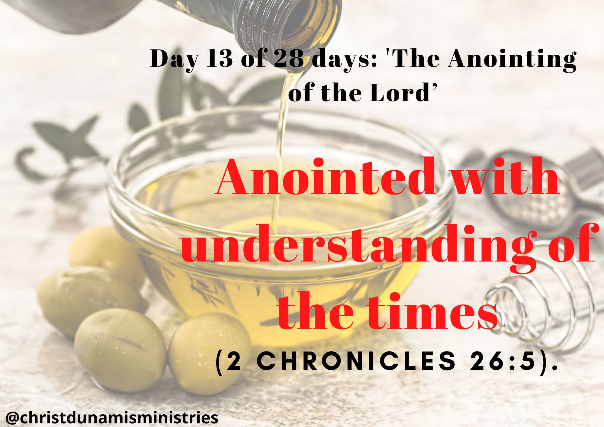 Day 13 of 28 days: 'The Anointing of the Lord’– Anointed with understanding of the times
