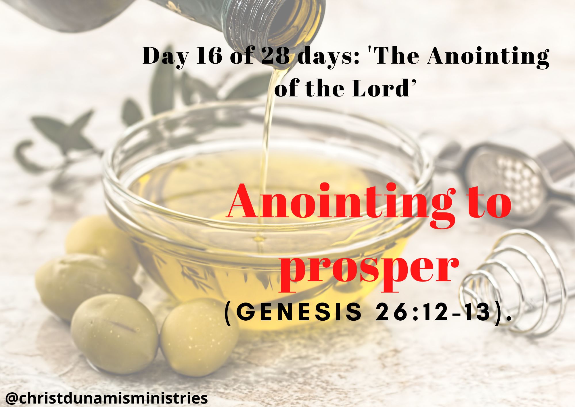 Day 16 of 28 days: 'The Anointing of the Lord’– Anointing to prosper