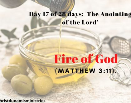 Day 17 of 28 days: 'The Anointing of the Lord’– Fire of God