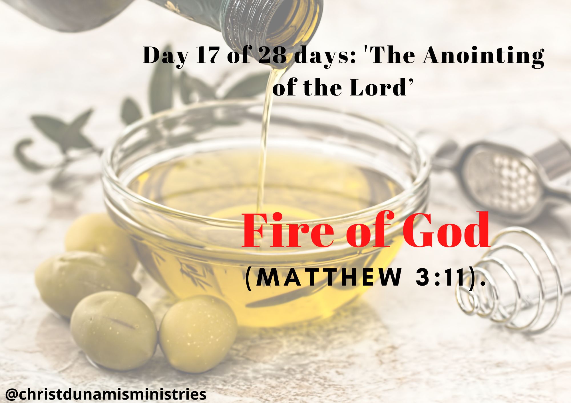 Day 17 of 28 days: 'The Anointing of the Lord’– Fire of God