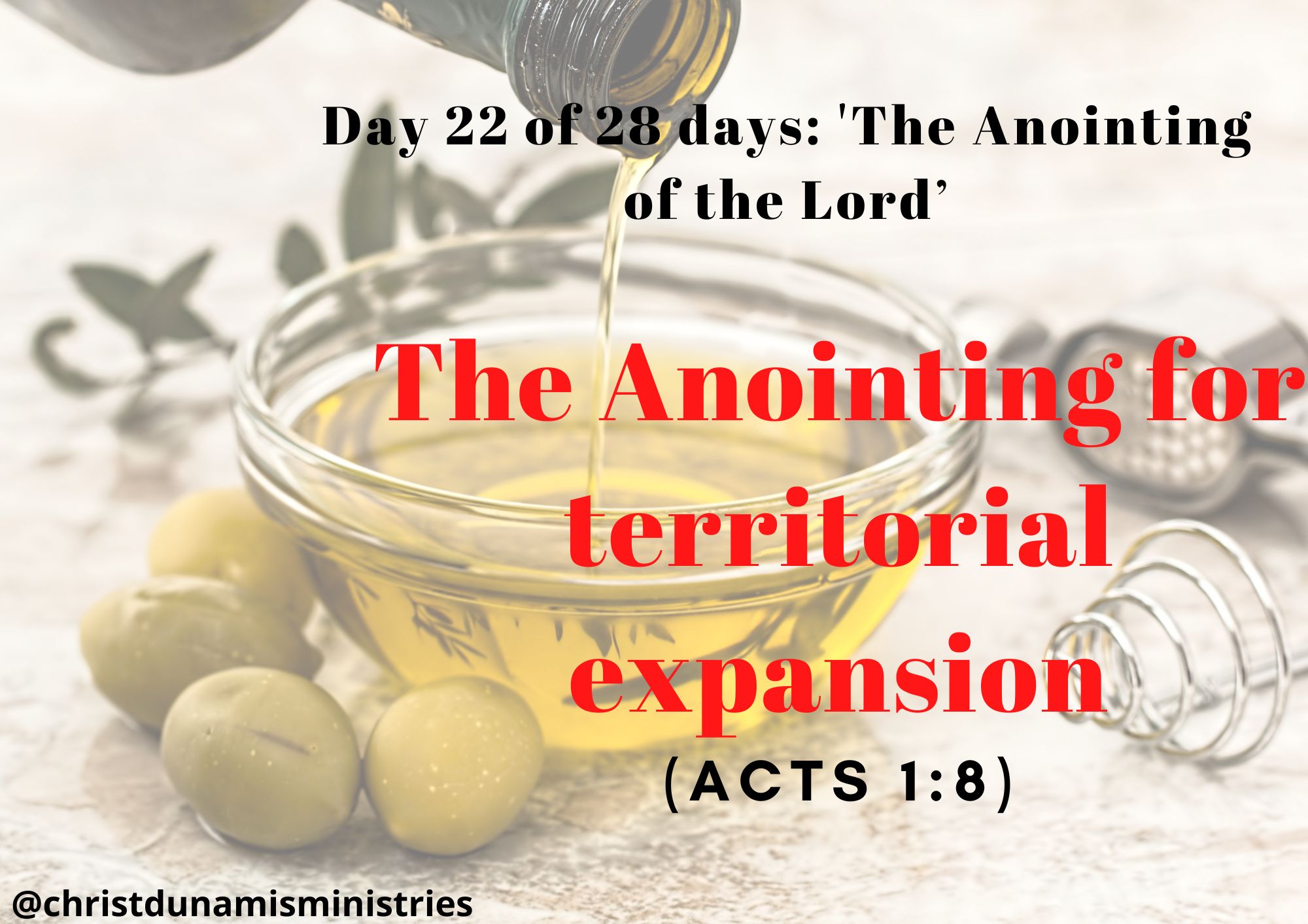 Day 22 of 28 days: 'The Anointing of the Lord’– The Anointing for territorial expansion