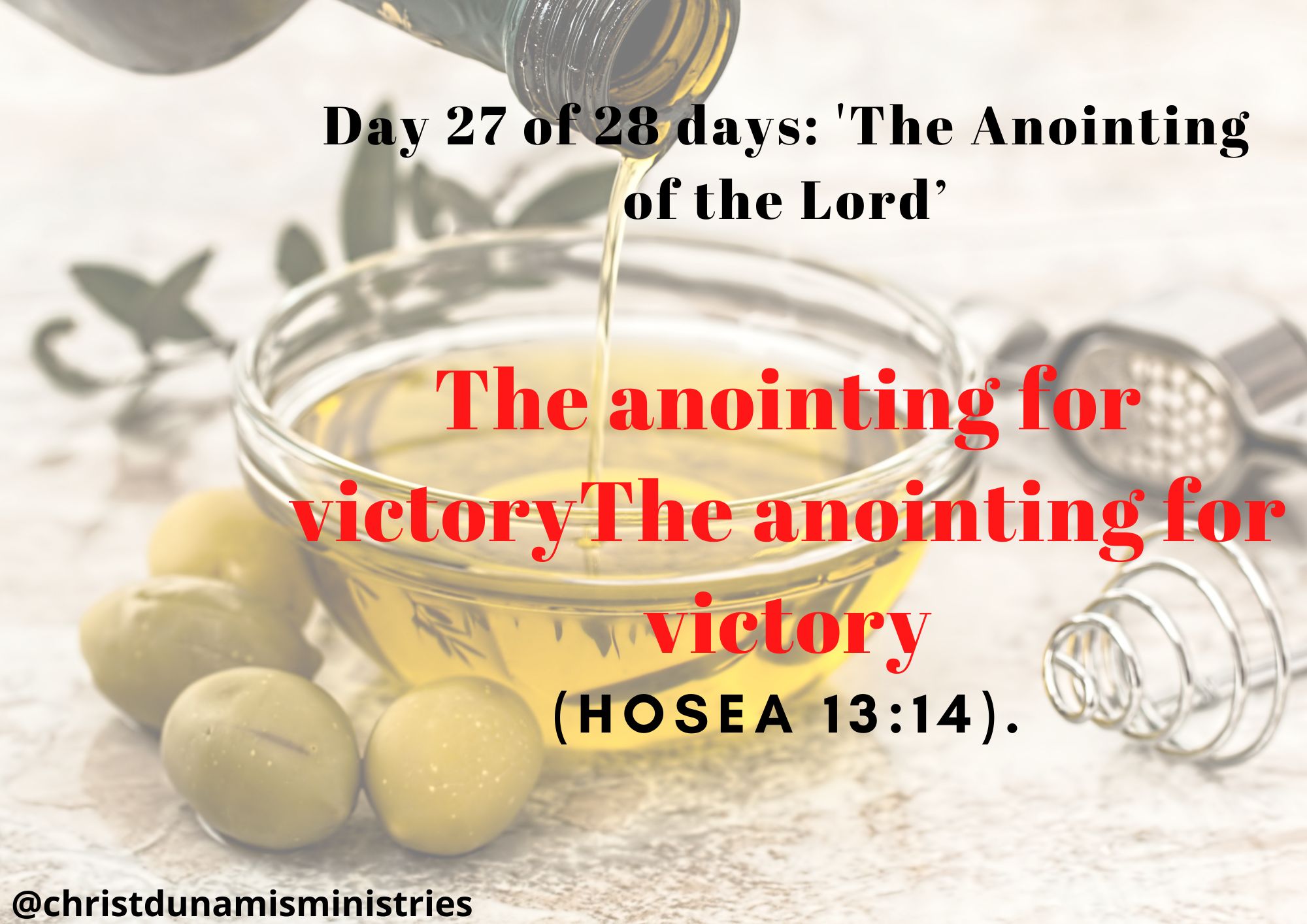 Day 27 of 28 days: 'The Anointing of the Lord’– The anointing for victoryThe anointing for victory